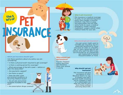 pet insurance cover start immediately.